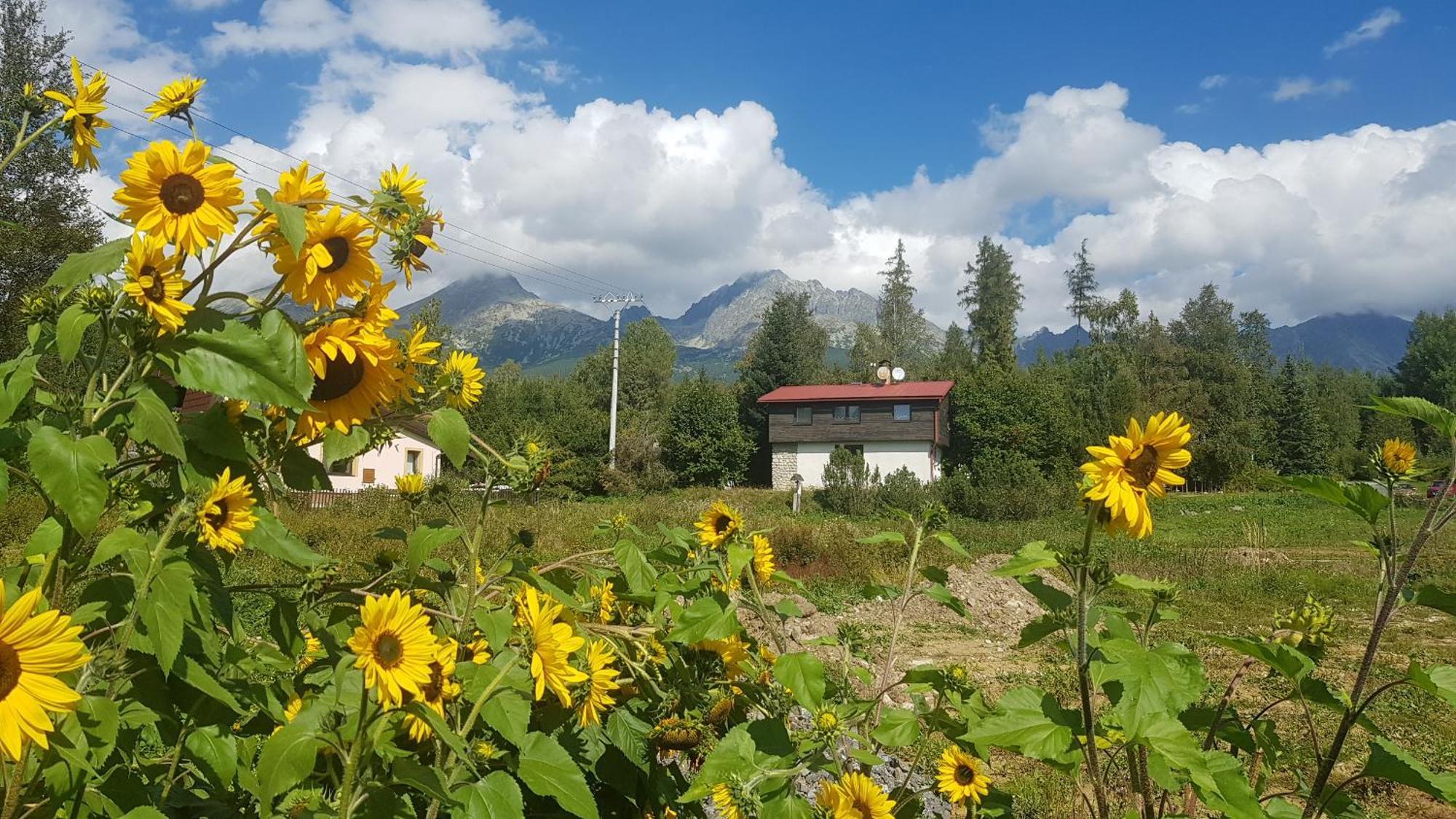 Chata Tatranka Stola Bagian luar foto